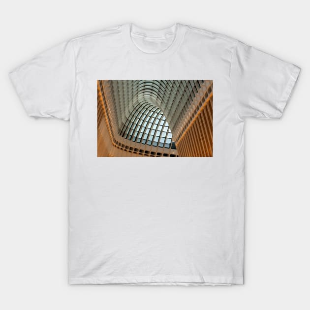 Eastland Ceiling #1 T-Shirt by charlesk